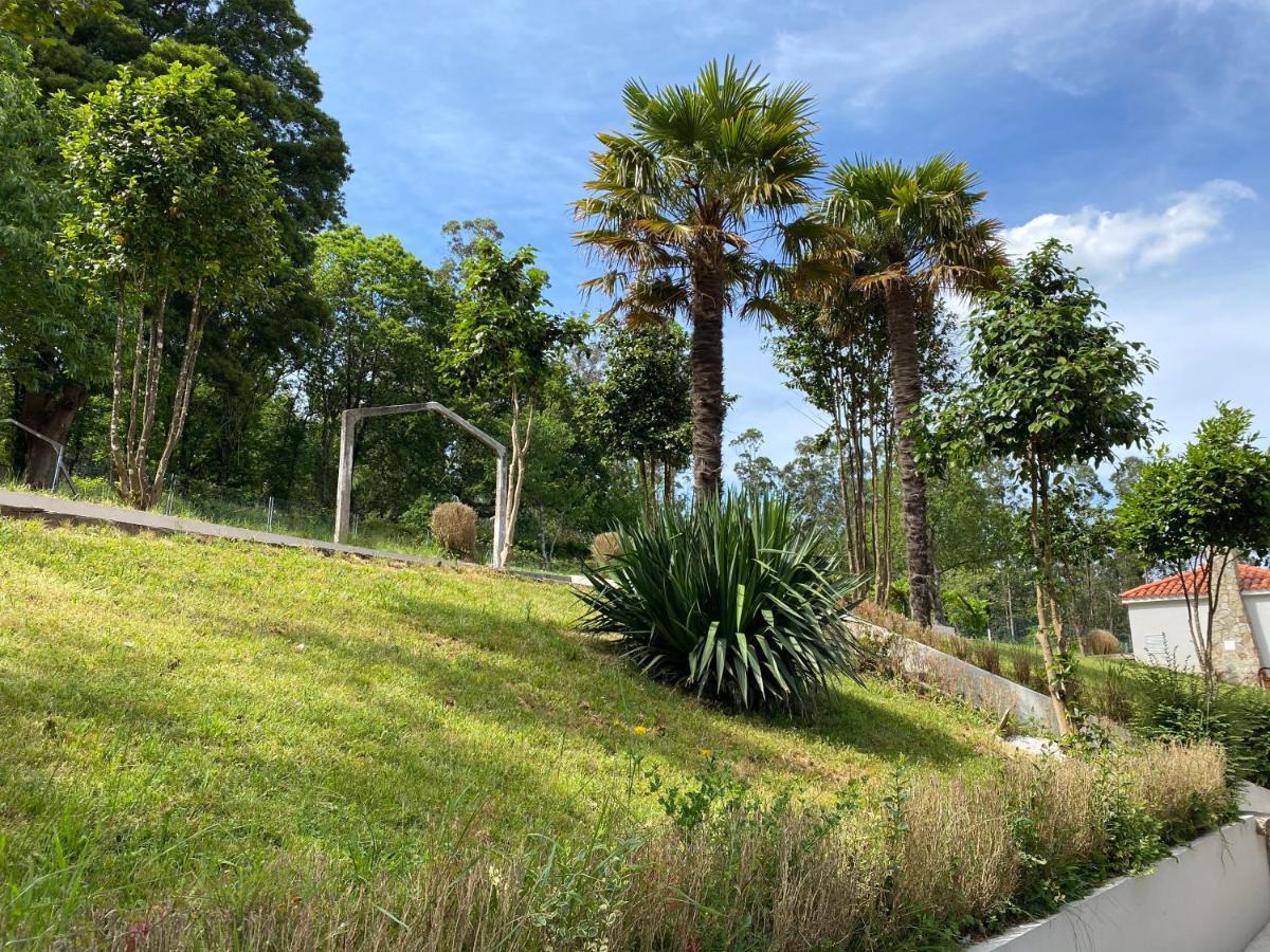 Albergue Mirador De Pedrouzo מראה חיצוני תמונה